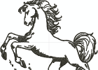 Pferd 2